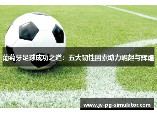 葡萄牙足球成功之道:五大韧性因素助力崛起与辉煌 葡萄牙足球成功之道:五大韧性因素助力崛起与辉煌