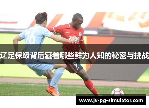 辽足保级背后藏着哪些鲜为人知的秘密与挑战