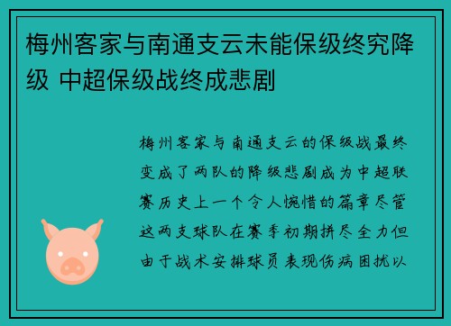 梅州客家与南通支云未能保级终究降级 中超保级战终成悲剧